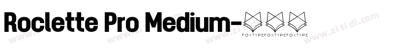 Roclette Pro Medium字体转换
